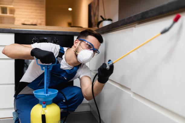 Best Local Pest Control Services  in Somerville, TN