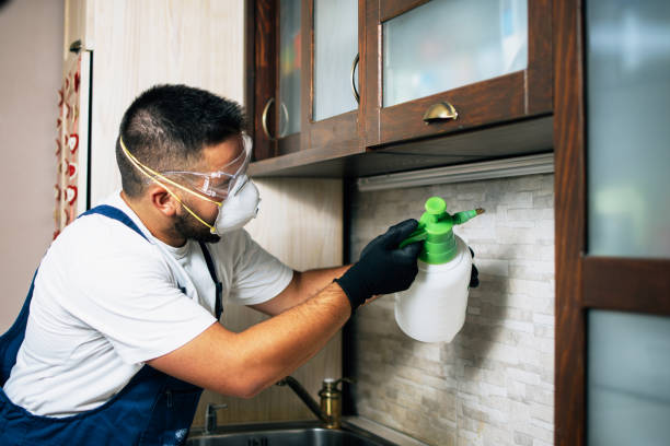 Best Affordable Pest Control Services  in Somerville, TN