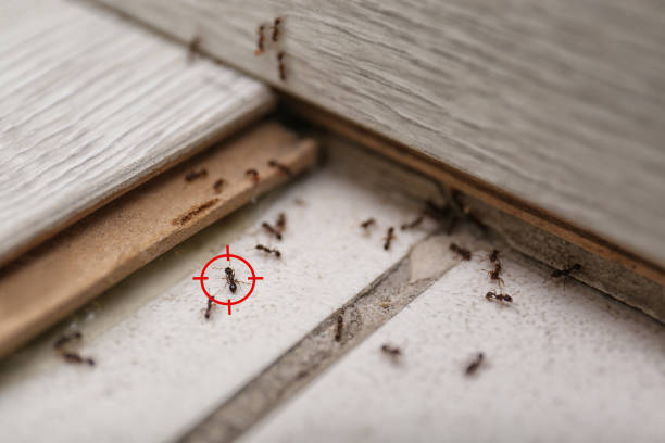Somerville, TN Pest Control Company