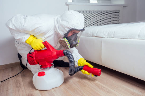 Best Bed Bug Extermination  in Somerville, TN