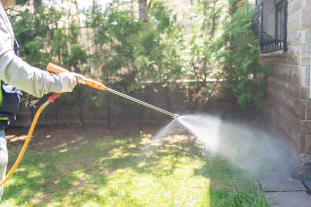 Best Pest Prevention Services  in Somerville, TN