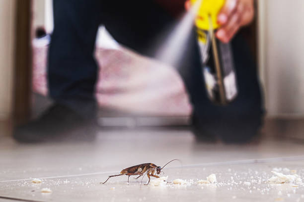 Best Wildlife Control Services  in Somerville, TN