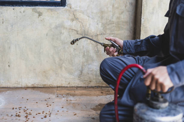 Best Best Pest Control Companies  in Somerville, TN
